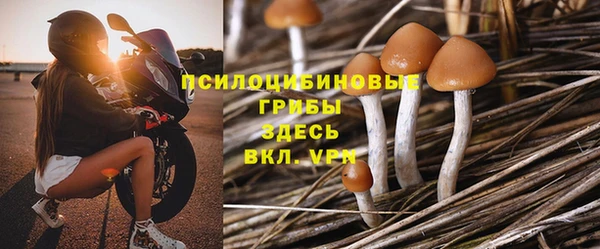 метадон Вяземский