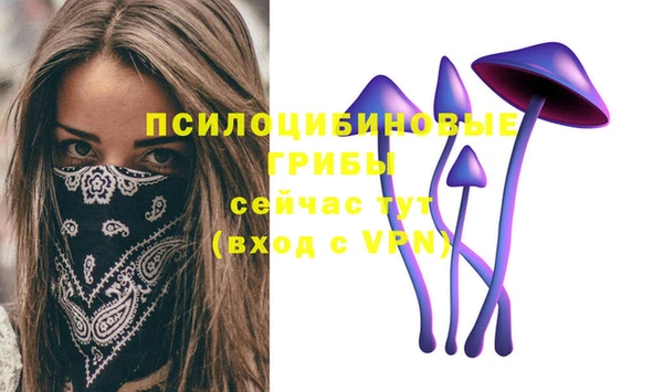 гашик Володарск
