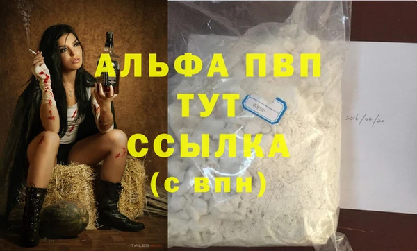 spice Вязники