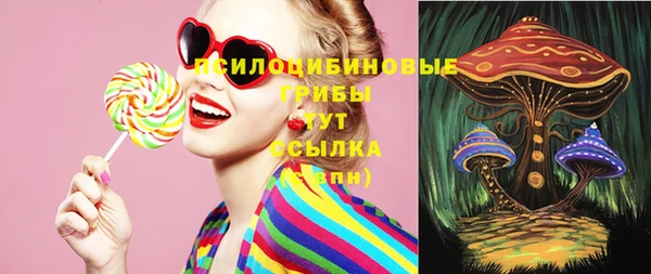 spice Вязники