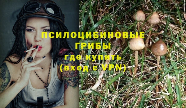 гашик Володарск